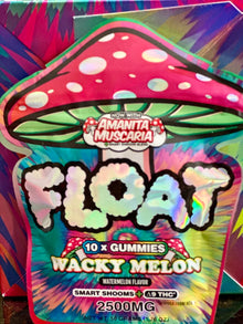 Float Mushroom Gummies + Delta 9 THC 2500mg