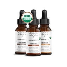Pet 250mg CBD Tinctures Peanut Butter