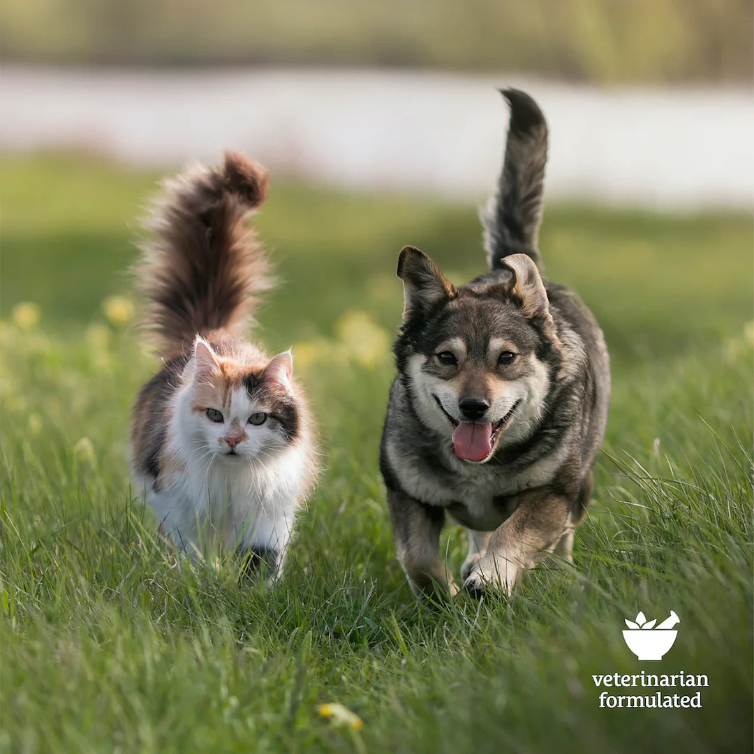 Pet Allergy Aid CBD Chews