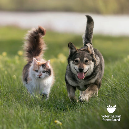 Pet Allergy Aid CBD Chews